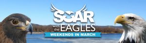 Soar with the Eagles - Weekend in March